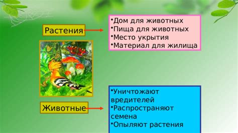 Растения - дом для животных