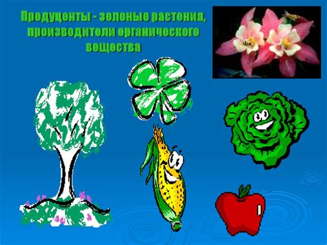 Растения - производители пищи