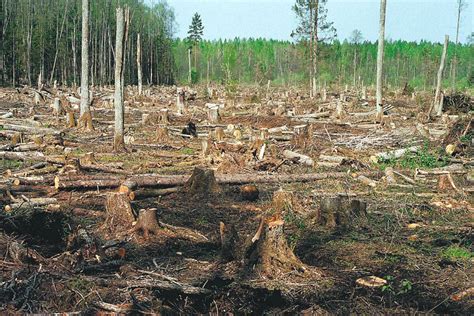 Расход и загрязнение природных ресурсов