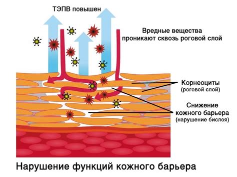 Реакция кожи