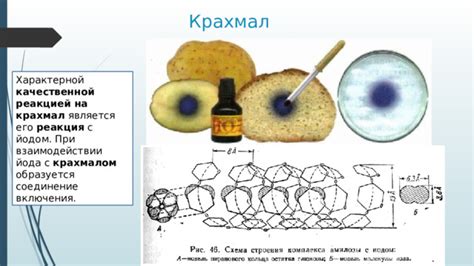 Реакция между крахмалом и йодом