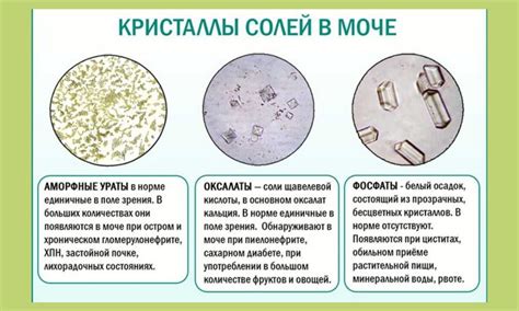 Реакция на оксалаты