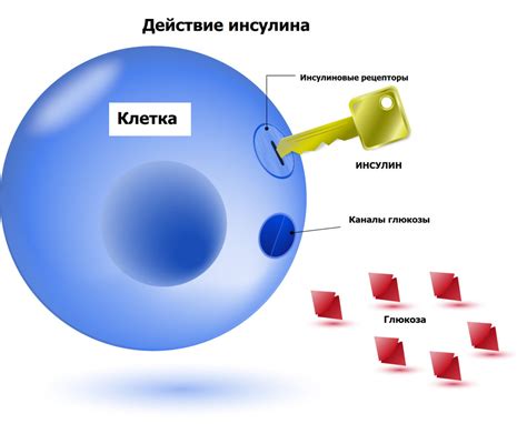 Реакция на уровень глюкозы