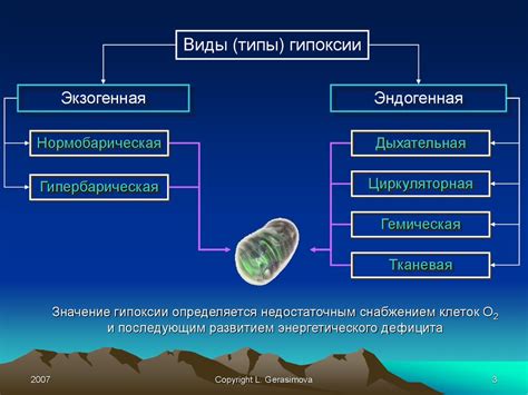 Реакция организма на смерть: