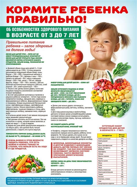 Режим питания на диете: грамотные рекомендации