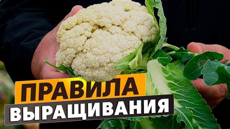 Рекомендации и советы для успешного и эффективного устранения непроходимости анестезии