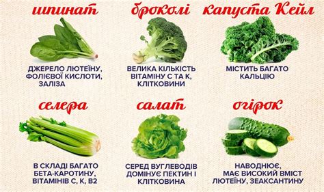 Рекомендации по употреблению сметаны