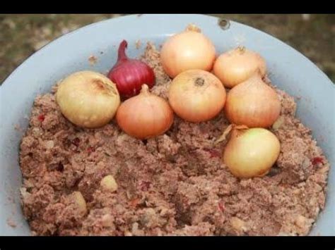 Репчатый лук для кур-несушек