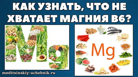 Роли магния В6 в организме