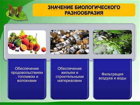 Роль бобров в поддержании биоразнообразия