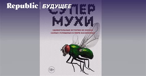 Роль бруса в появлении мух