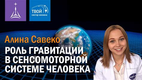 Роль гравитации в безопасности телевизора