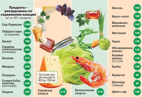 Роль кальция и его связь с желанием пить молоко