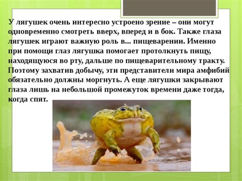 Роль лягушек во французской культуре