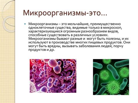 Роль микроорганизмов в процессе выделения клея на стволе персика