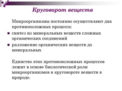 Роль микроорганизмов в разложении: