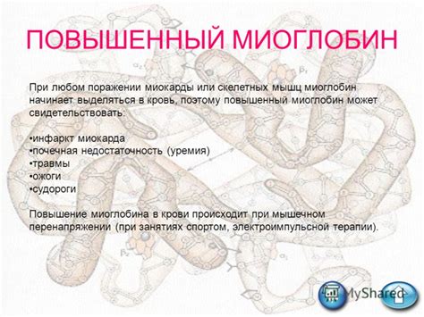 Роль миоглобина в цветообразовании