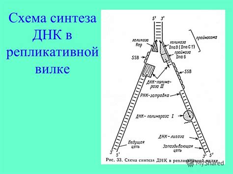 Роль негативной камеры в вилке