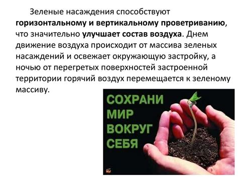 Роль окружающей среды в процессе пигментации
