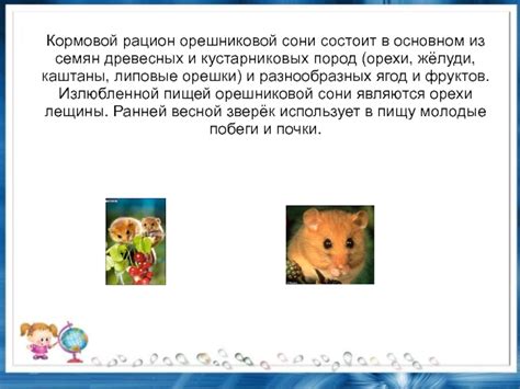 Роль орешниковой сони в экосистеме