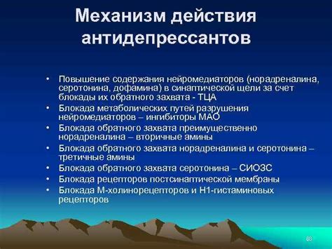 Роль пустырника в усилении действия антидепрессантов
