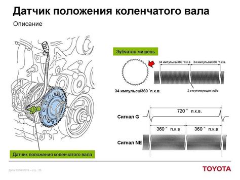 Роль сальника коленвала в работе автомобиля