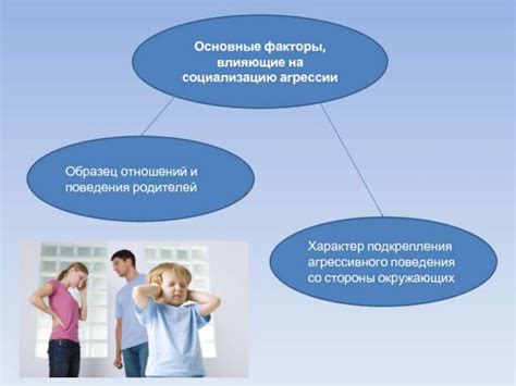 Роль социализации в предотвращении агрессии