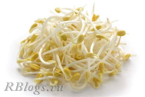 Ростки сои: сочетаемость с другими продуктами