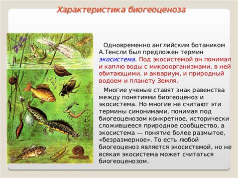 Связь между засоленностью воды и живыми организмами