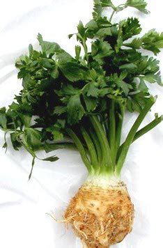 Сельдерей - полезный овощ с ярким вкусом