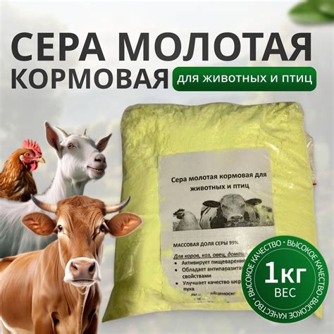Сера для коровы: преимущества и оптимальное количество подкормки