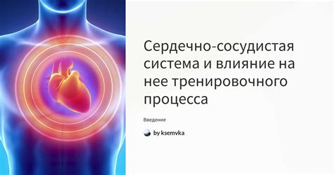Сердечно-сосудистая система: влияние бани на сон