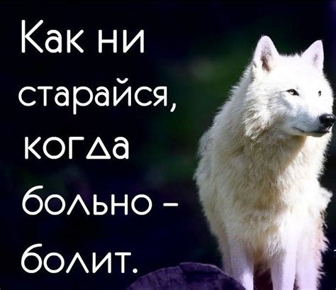 Символическое значение волков и их отражение в фразе "жить по волчьи"