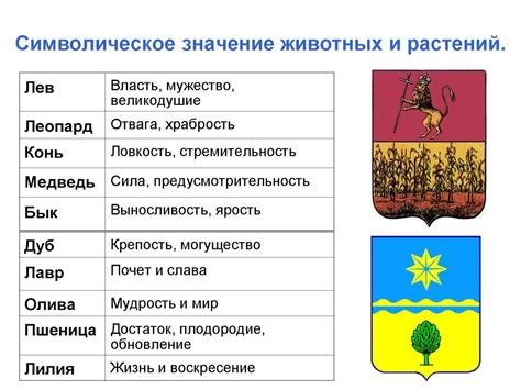 Символическое значение плаща