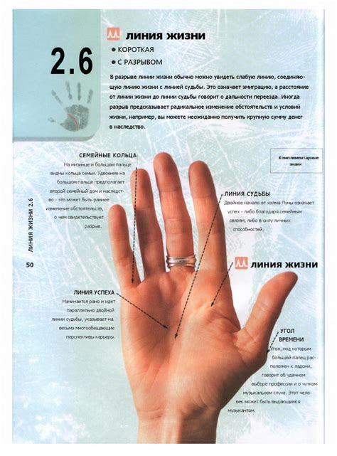 Символическое значение плюска на ладонь