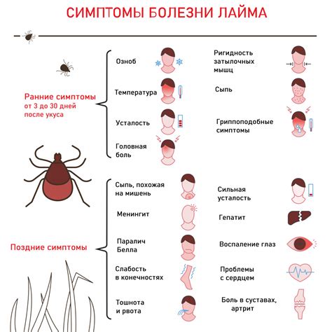 Симптомы энцефалита у человека