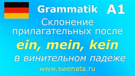 Склонение фамилии Качура в винительном падеже