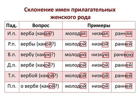 Склонение фамилии Качура в предложном падеже
