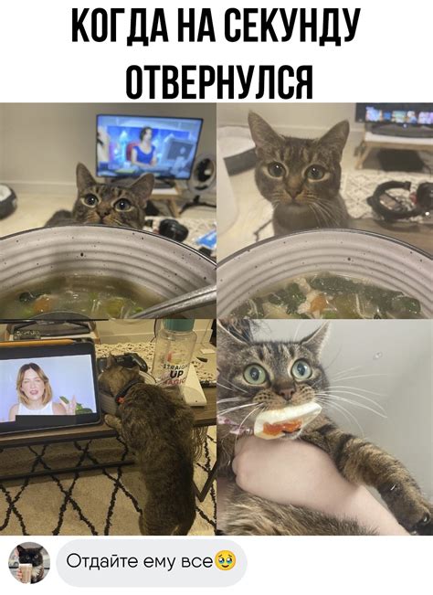 Смешные отговорки, которые вызывают улыбку