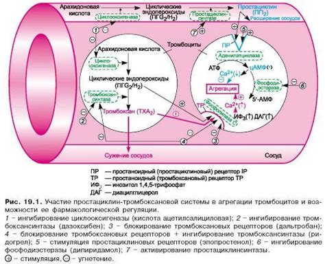 Снижение активности