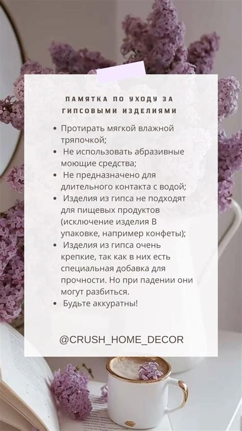 Советы по выбору и уходу за гипсовыми кашпо