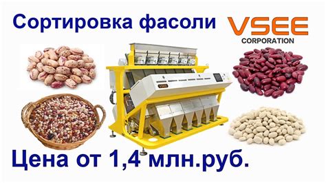 Сортировка фасоли от порченых и поврежденных зерен