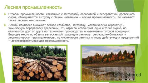 Социальное значение лесной промышленности