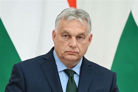 Способы сохранить ампулу после открытия