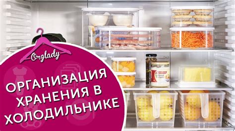 Срок хранения сока лопуха в холодильнике