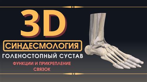 Стабильность поврежденного сустава