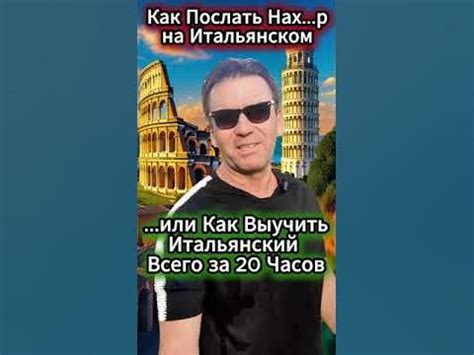Станьте экспертом в собаководстве
