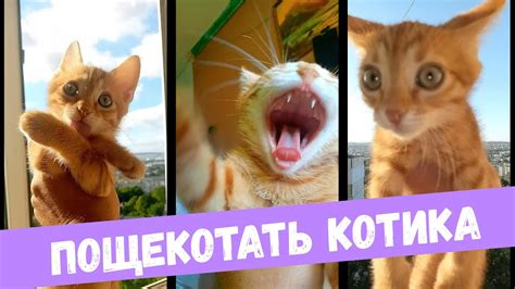 Страх реакции на щекотку на ногах