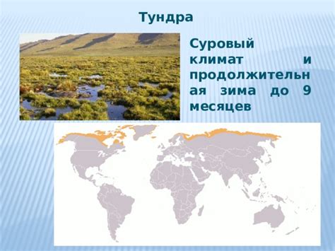 Суровый климат и огромные территории