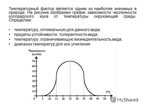 Температурный фактор в копчении